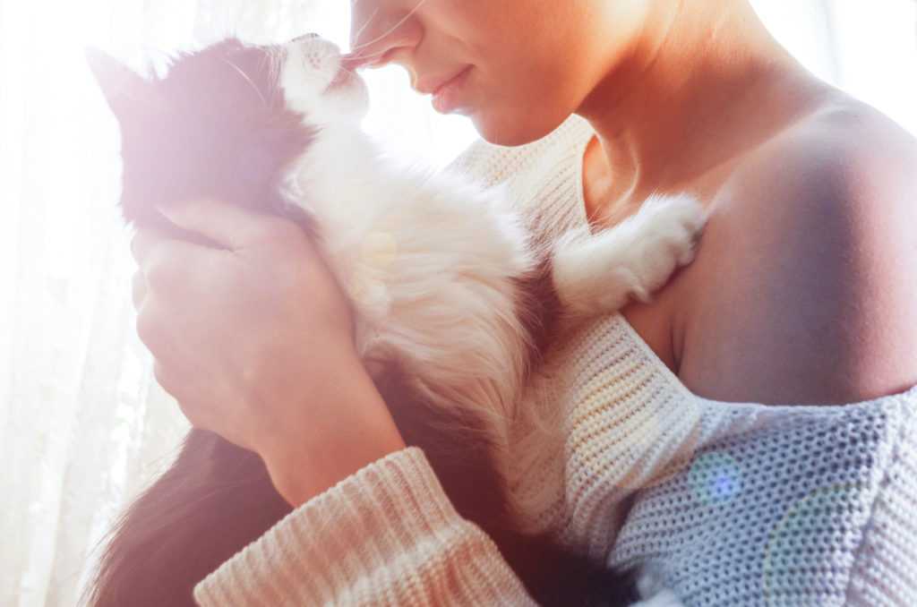 Frau hat eine schwarz-weiße Katze auf dem Arm katze arm frau