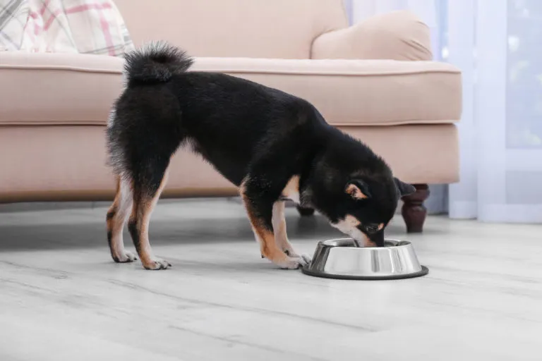 Oikea ruokavalio nivelvaivoihin