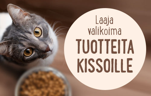 Toutteita kissoille