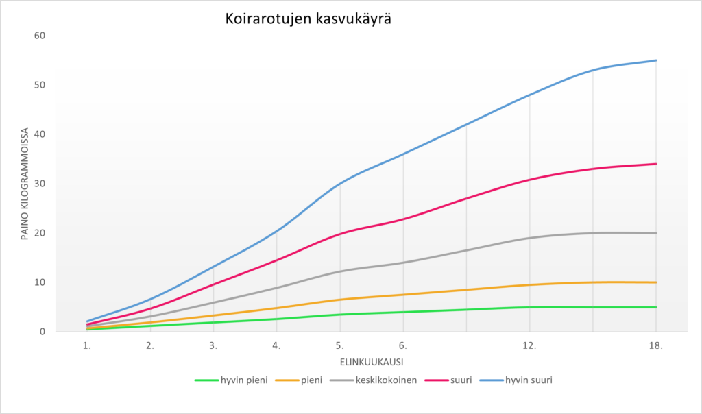 Koiranpennun ruokinta kasvukäyrän mukaan