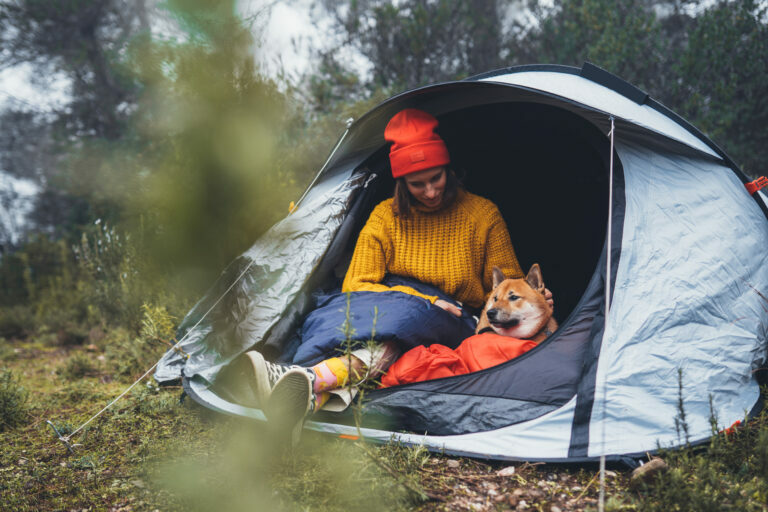 Koiran kanssa telttailu