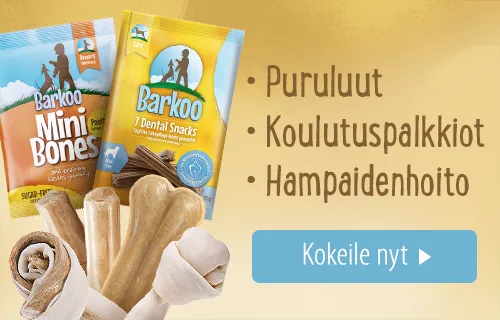 Barkoo