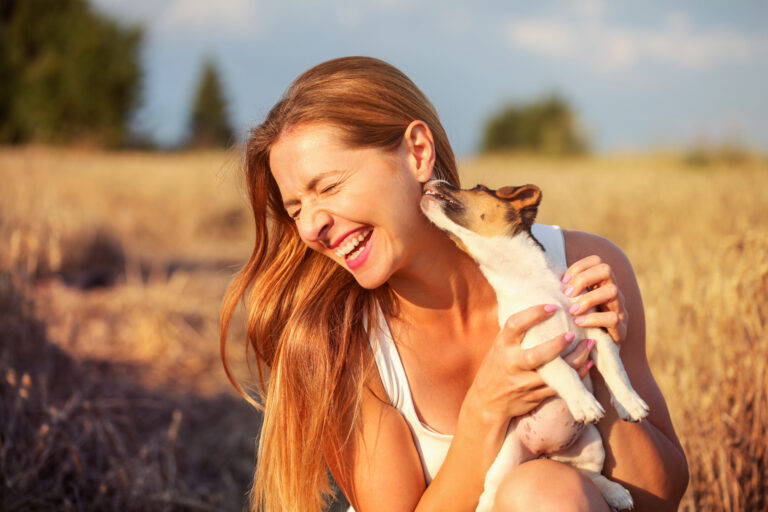 Jackrusselinterrieri nuolee naisen naamaa